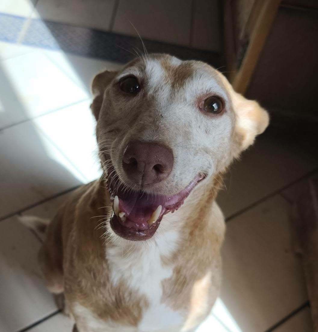 Photo de Mabel