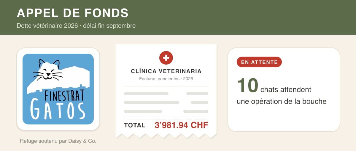 Appel de fonds : facture vétérinaire d’Asociación Finestrat Gatos, 3’981.94 CHF à régler d’ici fin septembre 2026
