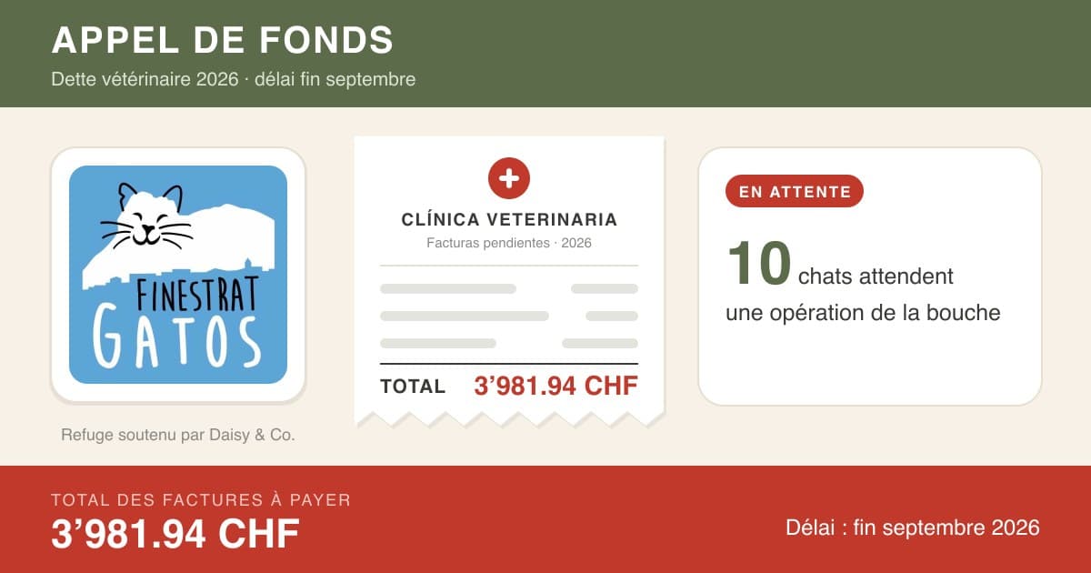 Appel de fonds — 3’981.94 CHF — Dette vétérinaire 2026 (délai fin septembre)