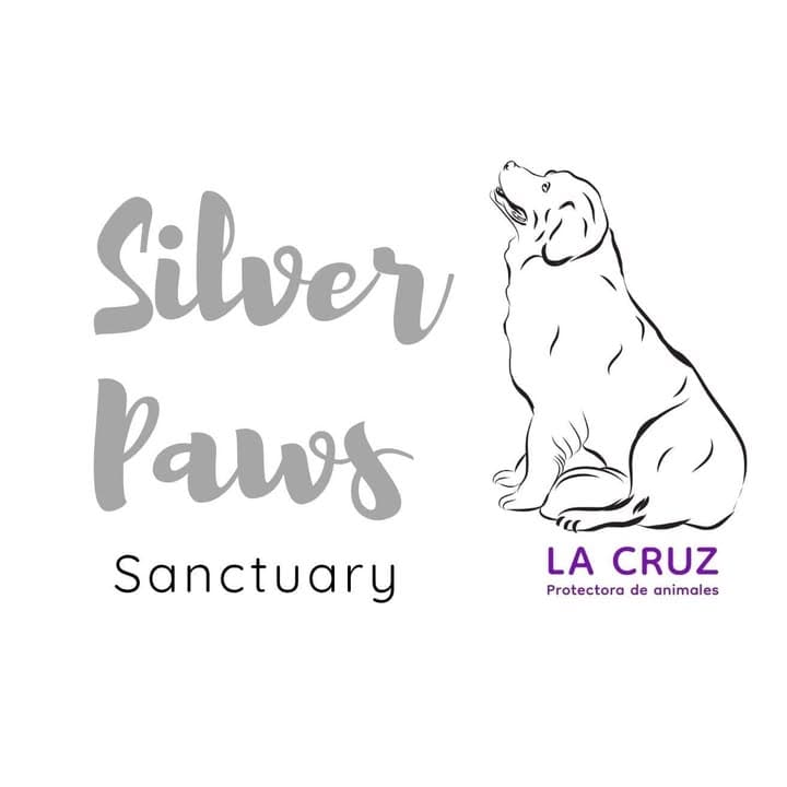 Silver Paws Sanctuary — La Cruz